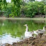Sáenz Peña: El Complejo Ecológico Municipal una opción ideal para disfrutar durante las vacaciones de invierno y celebrar el Día del Amigo