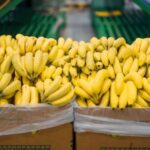 Gustavo Sáenz y Carlos Sadir cruzaron al Gobierno por una medida que expone a la producción bananera a «desastres sanitarios»