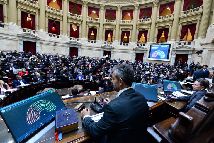 La rebaja del IVA para la mandioca obtuvo media sanción en Diputados.