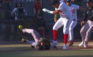 Video: batalla campal en la Liga Mexicana de Beisbol