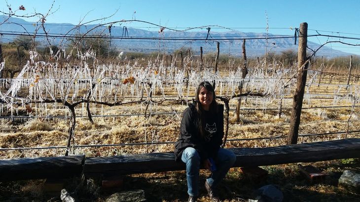 Silvia Gramajo, expresidenta de la entidad que aglutina a los bodegas tucumanas y referente del sector. 