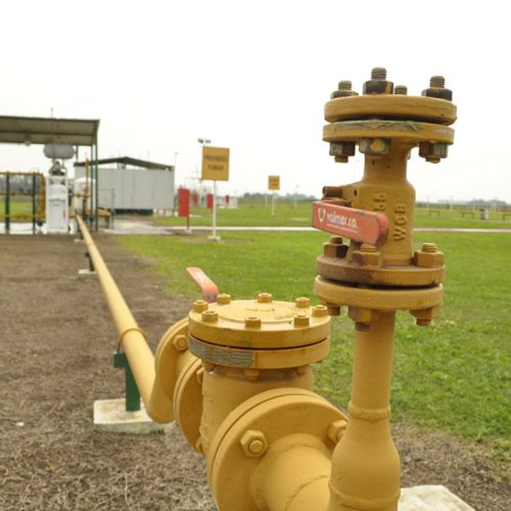 El Ministerio de Infraestructura y Servicios Públicos quedó autorizado a integrar el aporte mediante desembolsos mensuales. El Ministerio de Infraestructura y Servicios Públicos quedó autorizado a integrar el aporte mediante desembolsos mensuales.